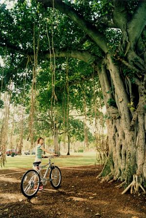 韓国・ソウル東大門にある東横INNソウル東大門1の魅力と詳細情報